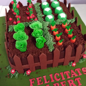 Tarta Fondant Huerto de hortalizas