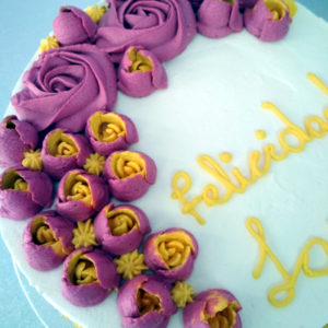 Smash_Cake_Tulipan_dos_colores_03