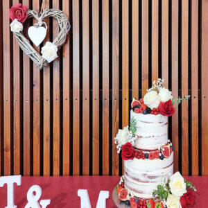 Nakedcakedboda