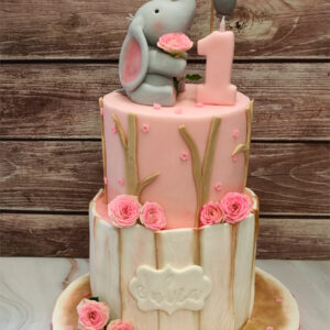 Bautizo-Tarta-dos-pisos-elefante